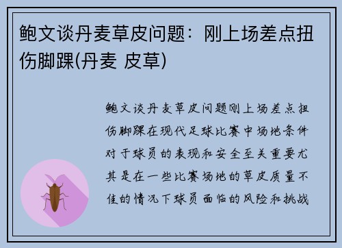 鲍文谈丹麦草皮问题：刚上场差点扭伤脚踝(丹麦 皮草)