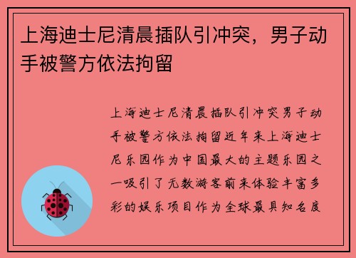 上海迪士尼清晨插队引冲突，男子动手被警方依法拘留