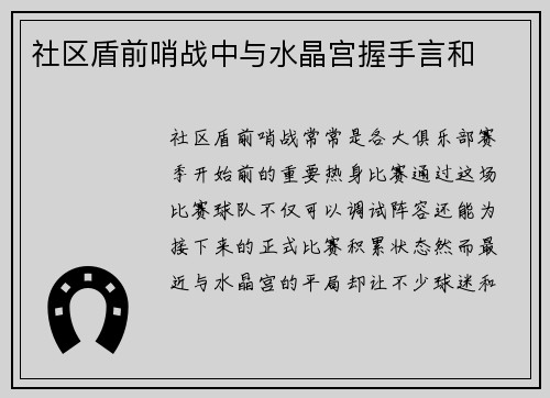社区盾前哨战中与水晶宫握手言和