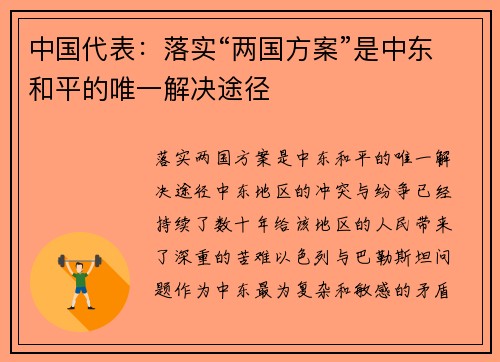 中国代表：落实“两国方案”是中东和平的唯一解决途径